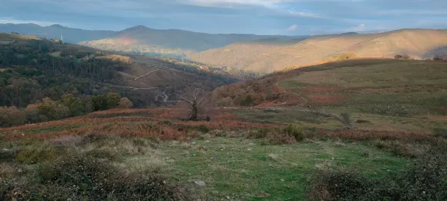Finca Rústica de 1.ha con Escrituras