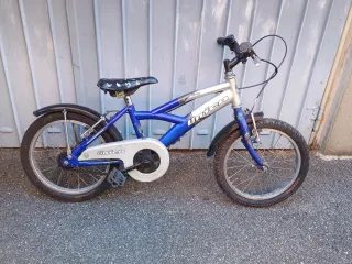 Bicicletta raggio 16