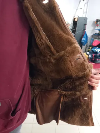 Montone in Montone da Uomo