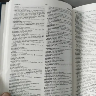 Diccionario inglés -español