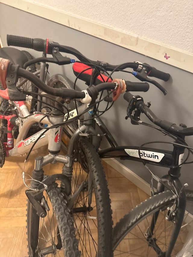 3 Bicicletas utilizables