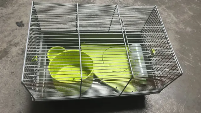 Gabbia per criceti con accessori