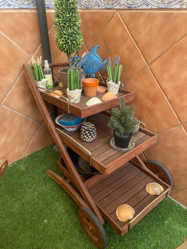 Conjunto mesa octogonal con 6 sillas teka y Carro