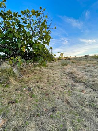 Terreno rústico con agua y escrituras en Mérida
