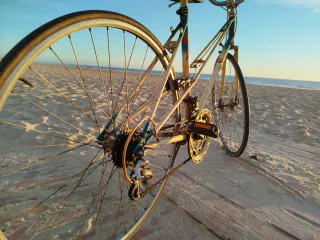 Bicicleta BH Gacela Vintage