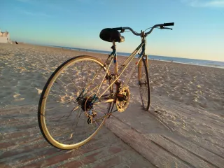 Bicicleta BH Gacela Vintage