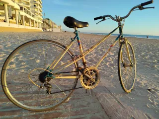 Bicicleta BH Gacela Vintage
