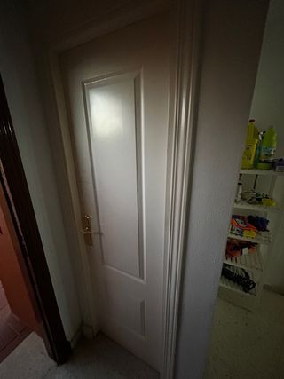 Puerta blanca interior con manilla dorada