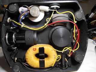 Microscopio Nikon S-Kt