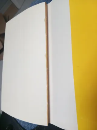 O final da historia: Ensaio de historia teórica