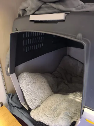 Transportín gos Trixie IATA Gulliver XL (esquerdat