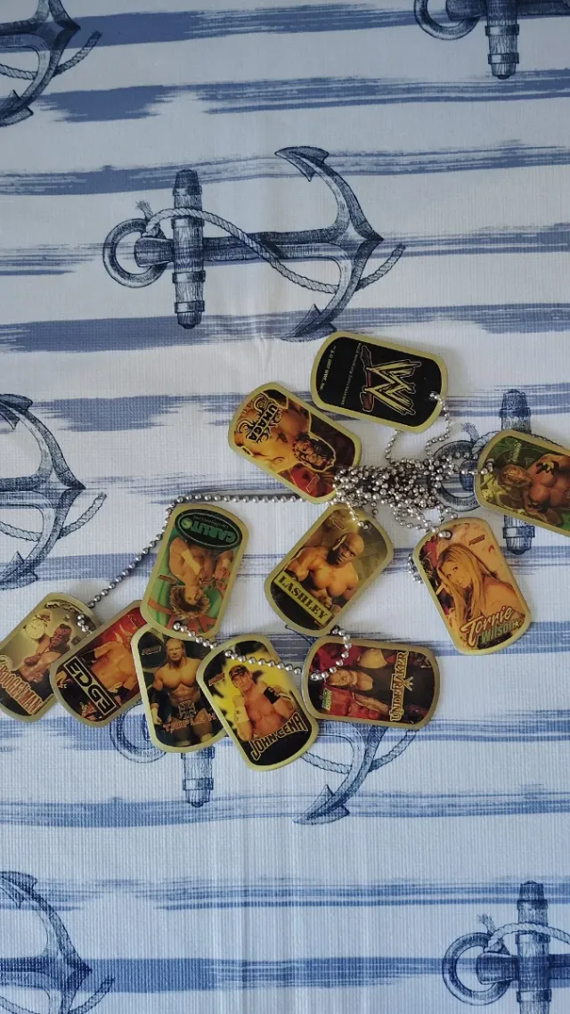 DVD WWE SummerSlam y Judgment Day + Llaveros