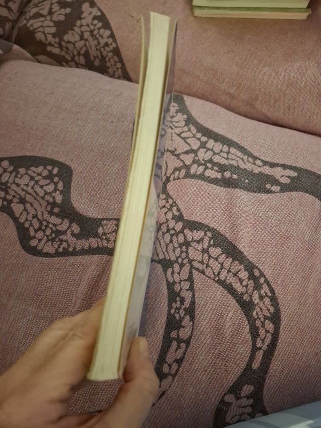 Un cumpleaños diferente (Ala delta: Serie azul/...