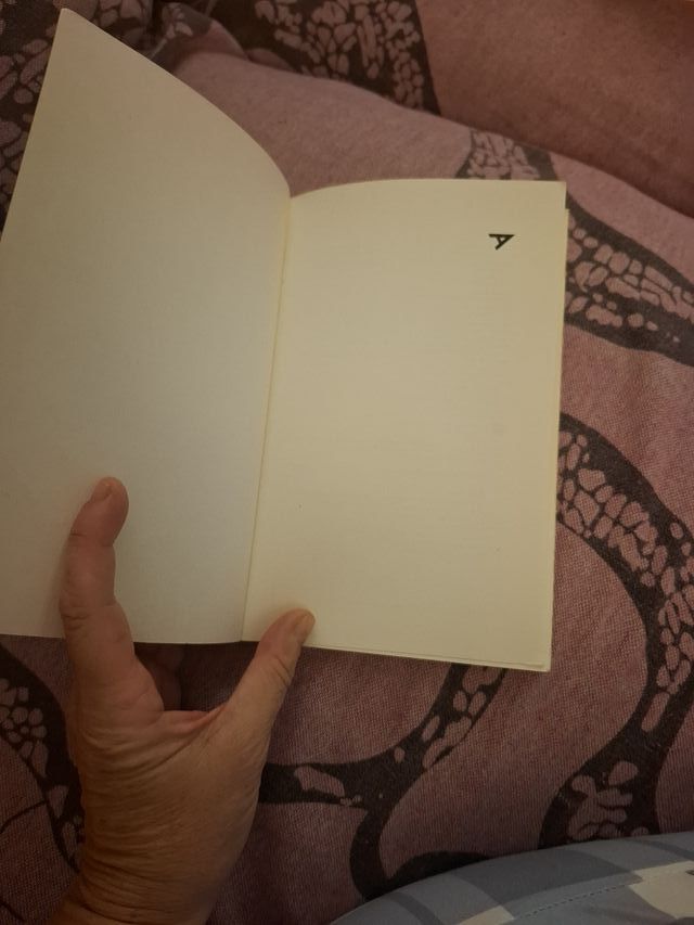 Un cumpleaños diferente (Ala delta: Serie azul/...