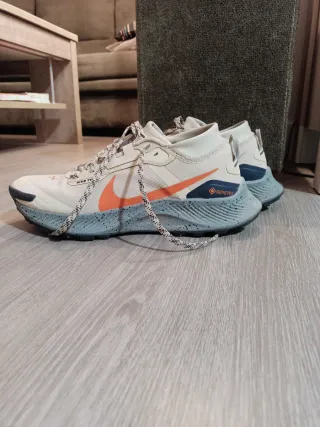 Nike Pegasus Trail 3 GORE-TEX Beige/Naranja
