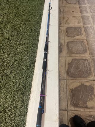 Caña de pescar spinning 2.70m