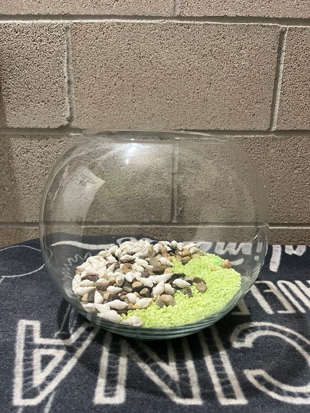 Pecera redonda con grava y conchas