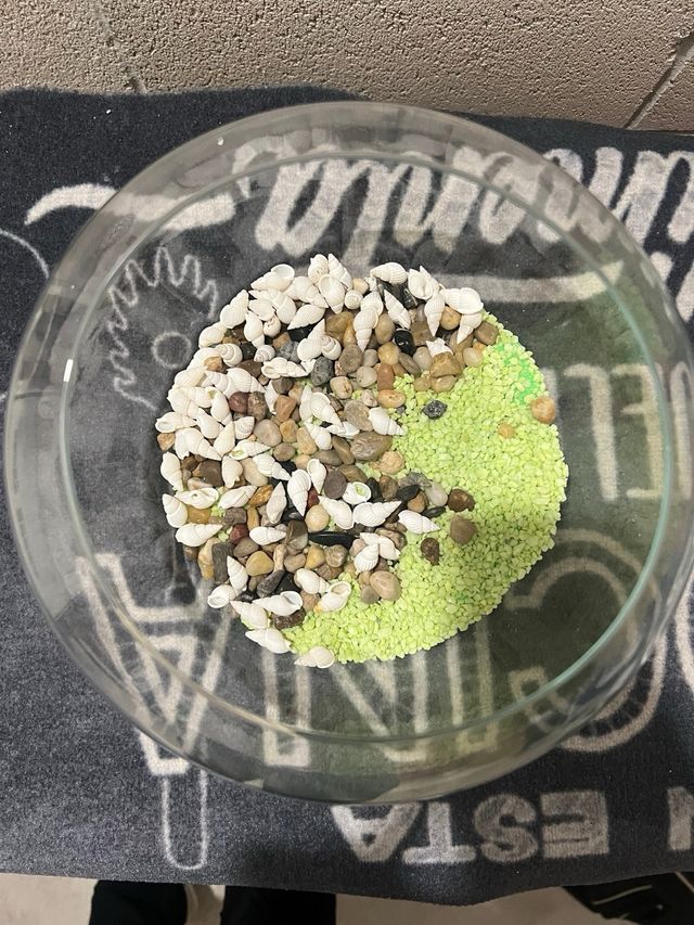 Pecera redonda con grava y conchas