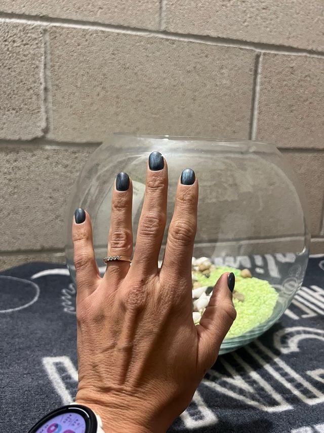 Pecera redonda con grava y conchas