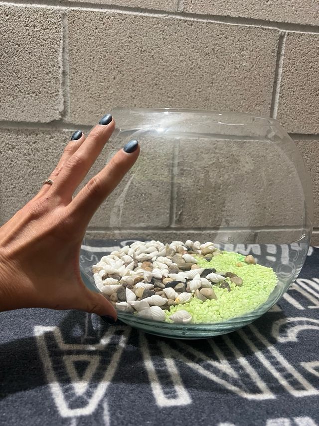 Pecera redonda con grava y conchas