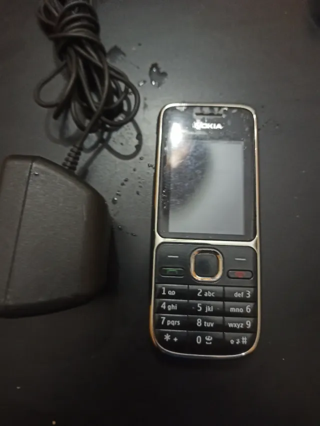 Caricatore Nokia C2-01 Silver incluso