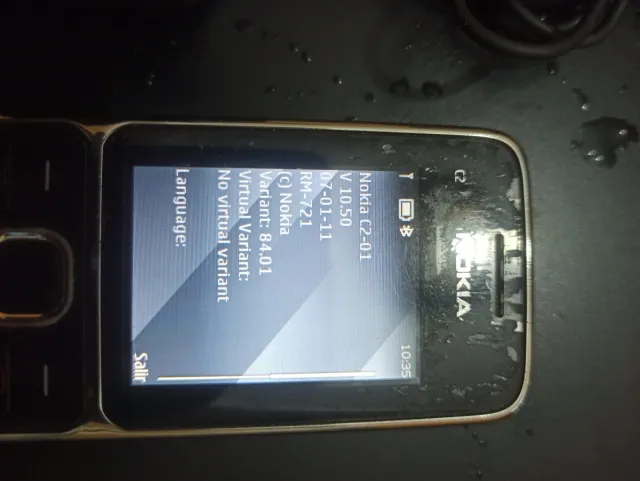 Caricatore Nokia C2-01 Silver incluso