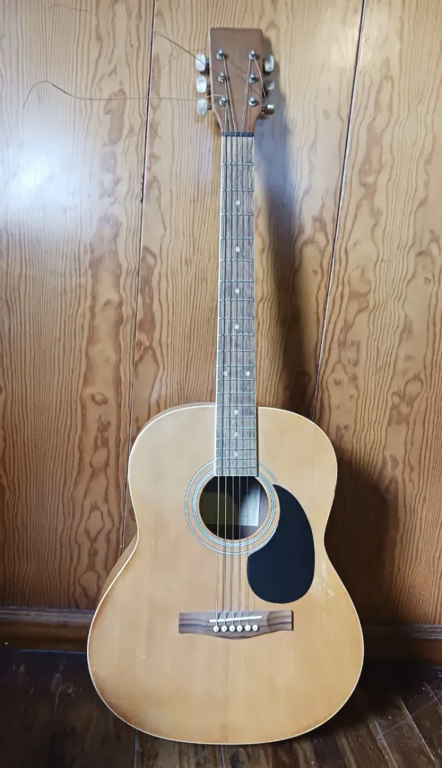 Guitarra Harley Benton HBCG45