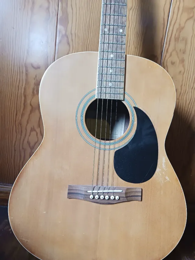 Guitarra Harley Benton HBCG45