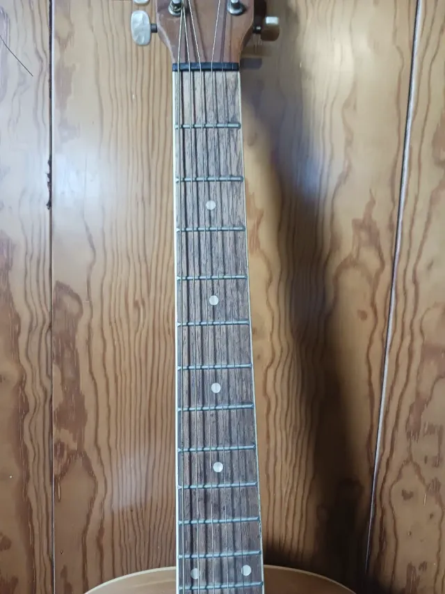 Guitarra Harley Benton HBCG45