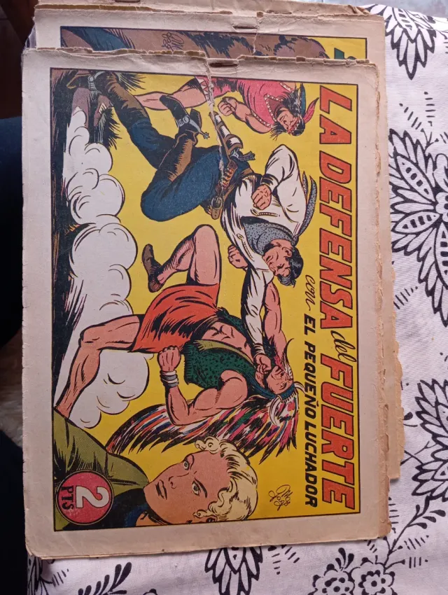 El espadachin enmascaredo El coyote Roberto alcaza