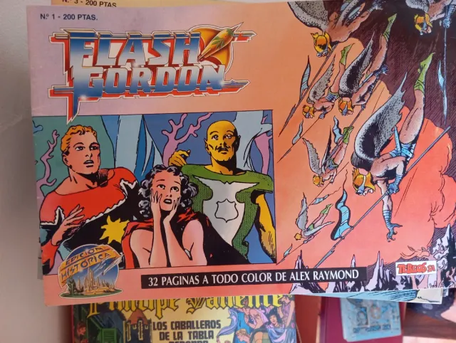 El espadachin enmascaredo El coyote Roberto alcaza