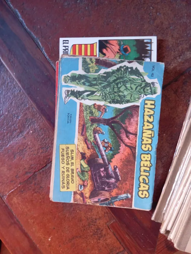 El espadachin enmascaredo El coyote Roberto alcaza