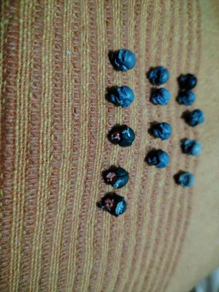 Warhammer 40k Cabezas