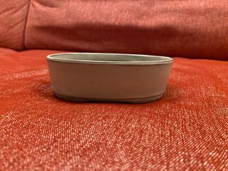 Vaso ovale crema per bonsai