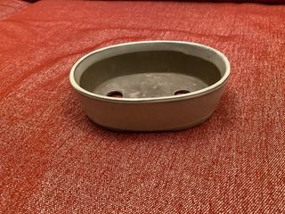 Vaso ovale crema per bonsai