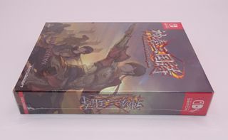 Twin Blades of the Three Kingdoms Nintendo Switch