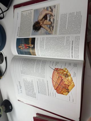 Educación física y salud