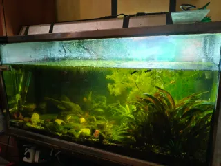 Acuario 200L con mesa, luz LED y filtro fluval 307