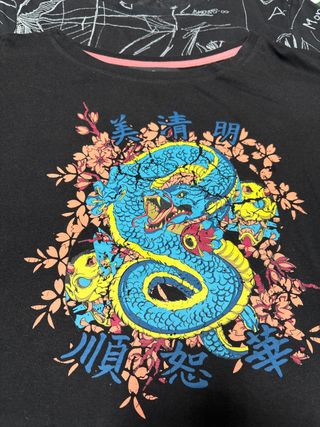 Lote 2 Camisetas Estampadas Dragón