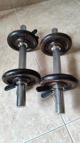 Mancuernas de acero con discos de hierro y cierres