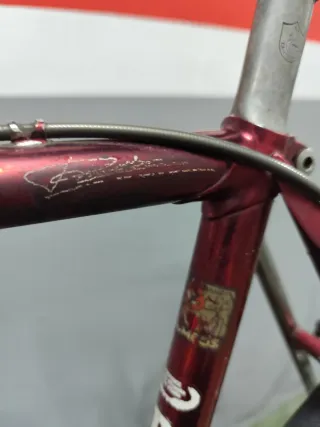 Bici Pinarello Catena Lusso