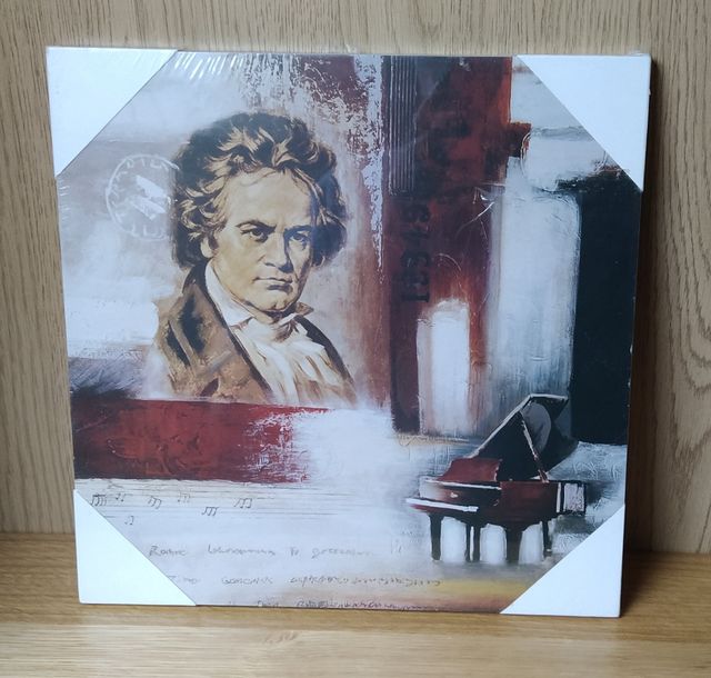Cuadro Beethoven Piano Notas Musicales