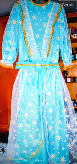 Disfraz Princesa Adulto