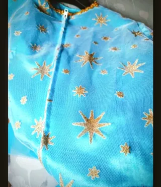 Disfraz Princesa Adulto