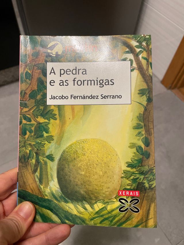A pedra e as formigas (Galician Edition)