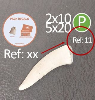 Pack 5 Productos con P Verde Pack