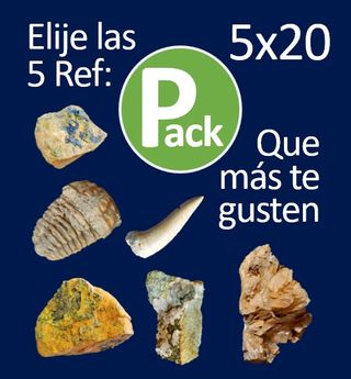 Pack 5 Productos con P Verde Pack
