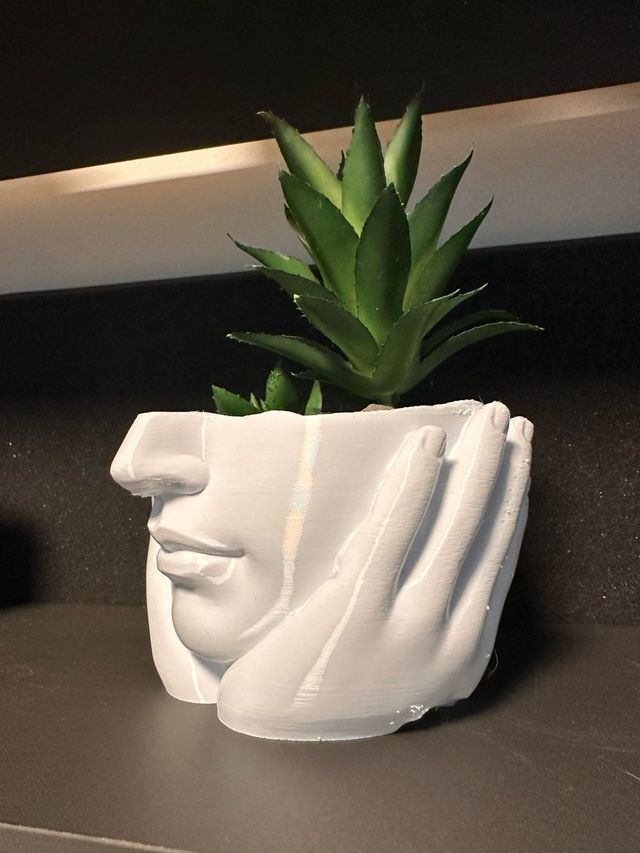 Vaso Design Faccia 3D Bianco - Portapiante Moderno