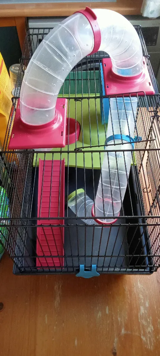 Jaula Hámster con Accesorios