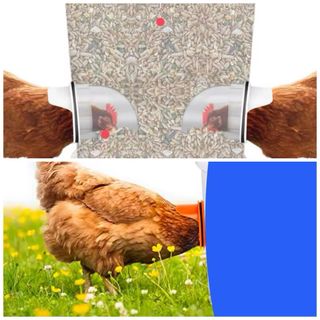 Comedero y Bebedero Aves 60 Litros